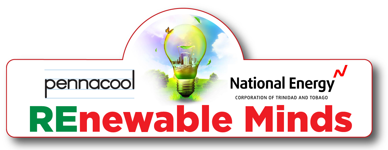 REnewable Minds