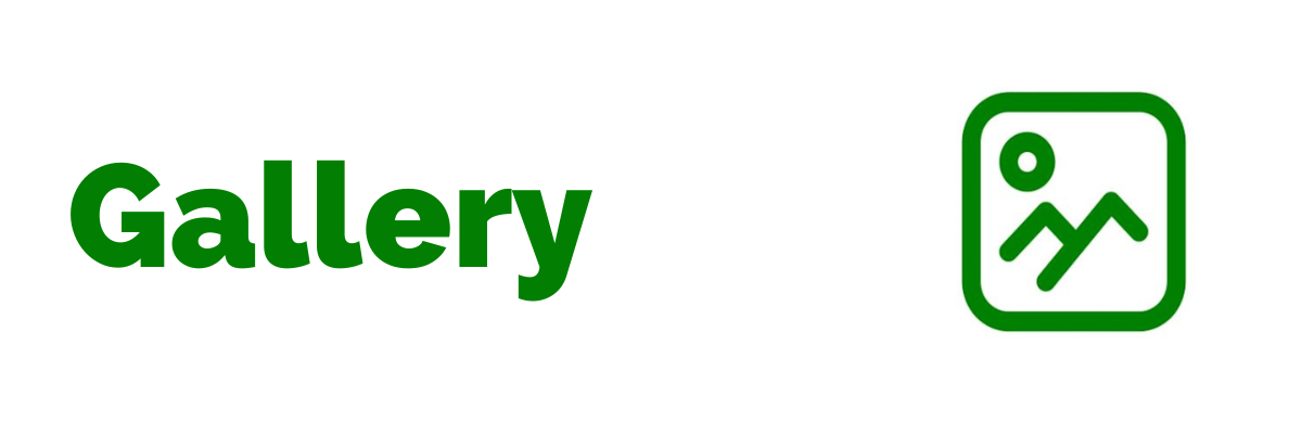Science Events and Winners Gallery