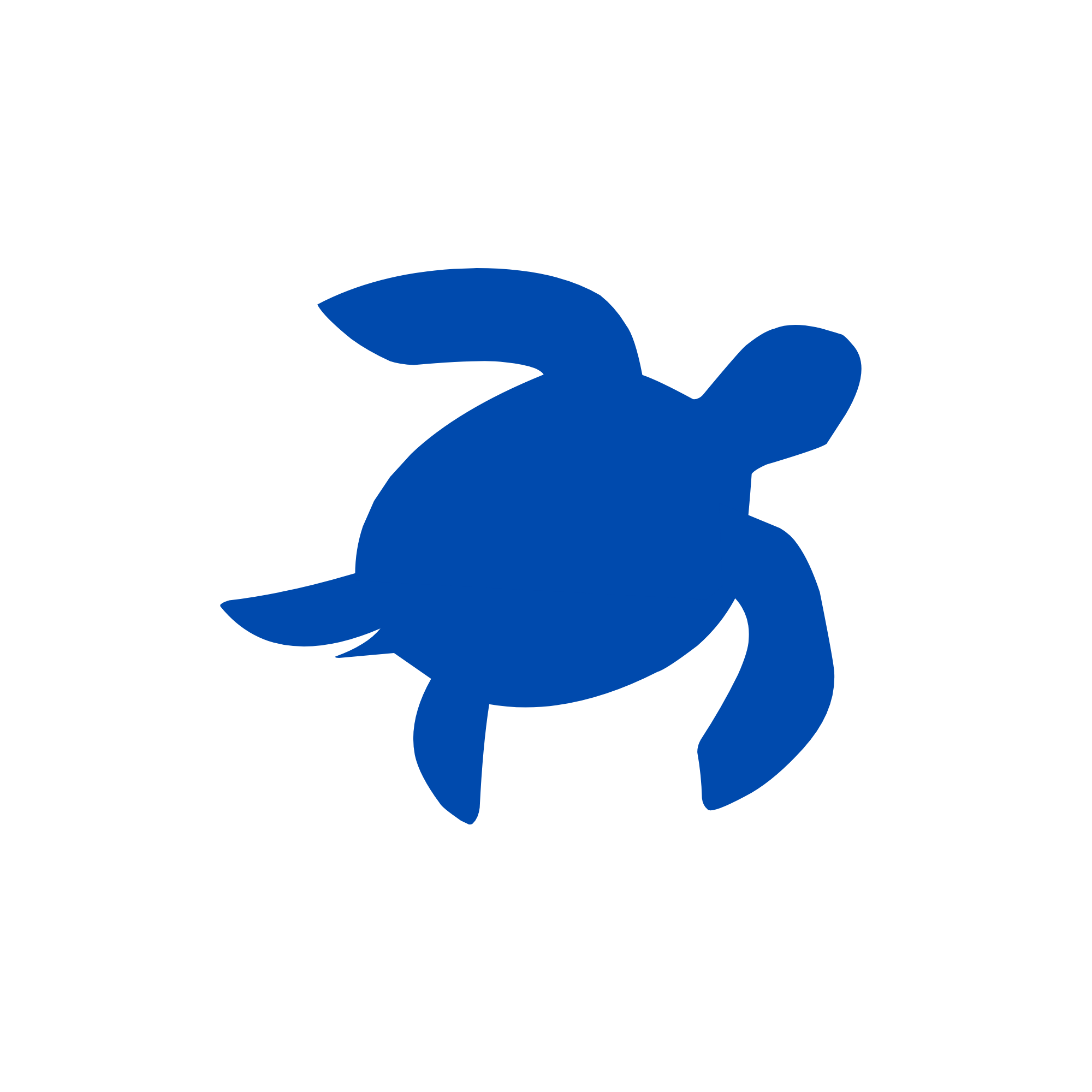 Turtle Watch