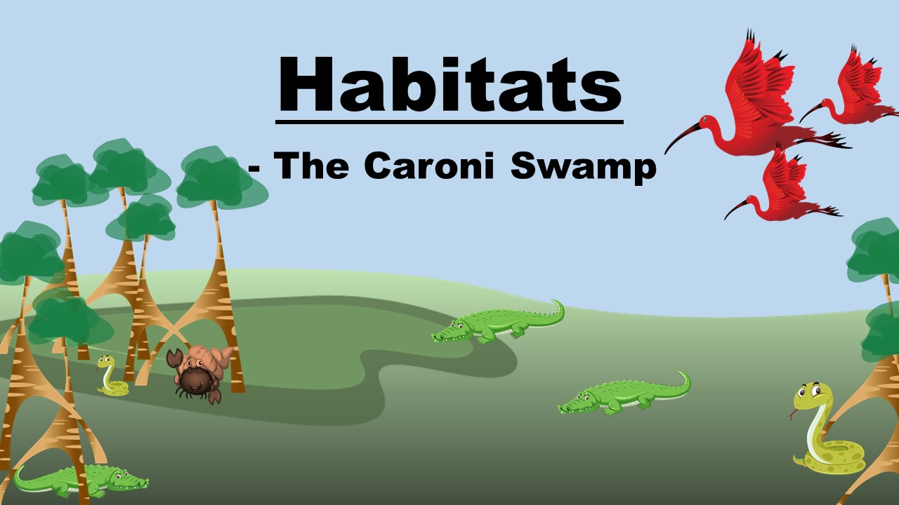 Habitats (Aquatic)