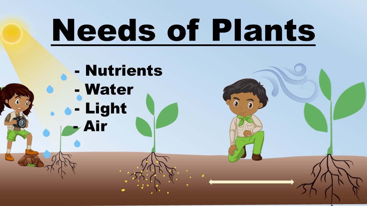 Needs of Plants