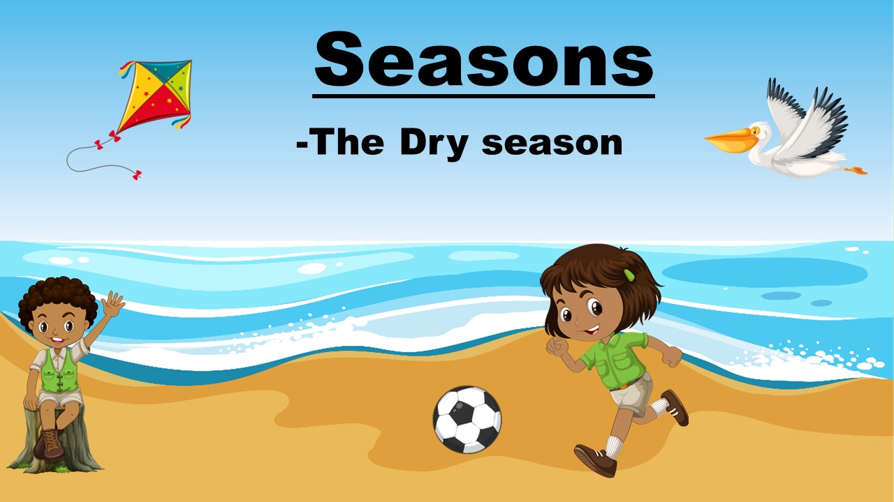 Seasons