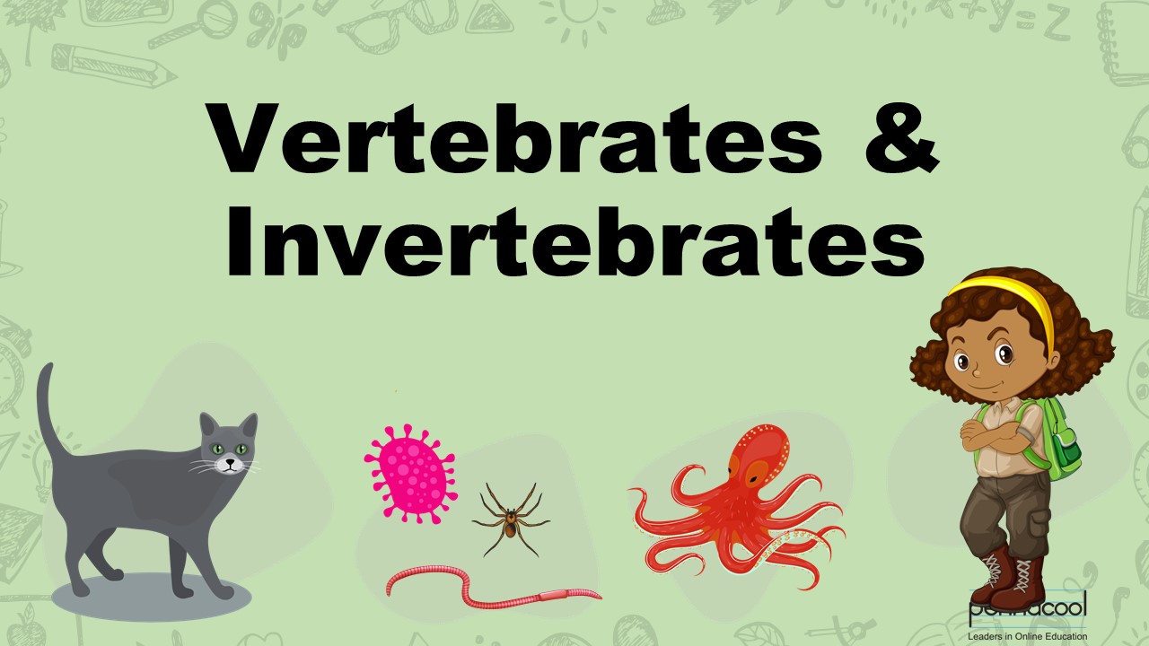 Vertebrates and Invertebrates