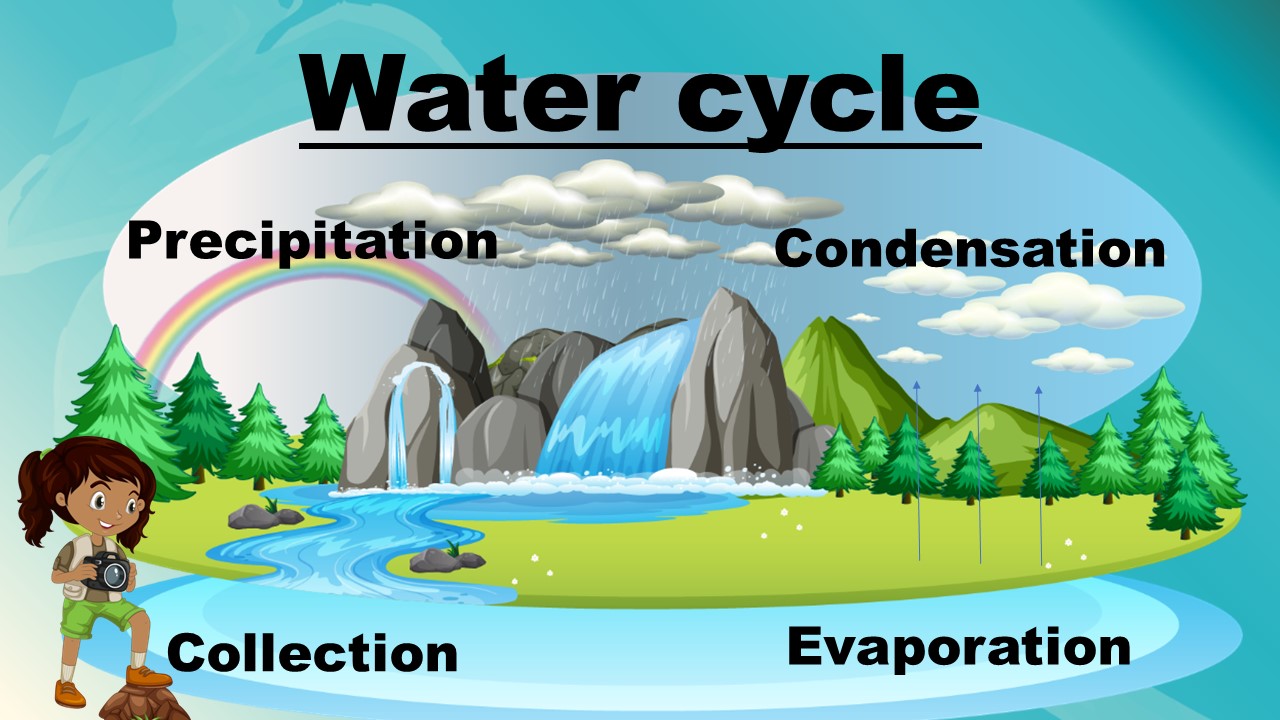 Water Cycle