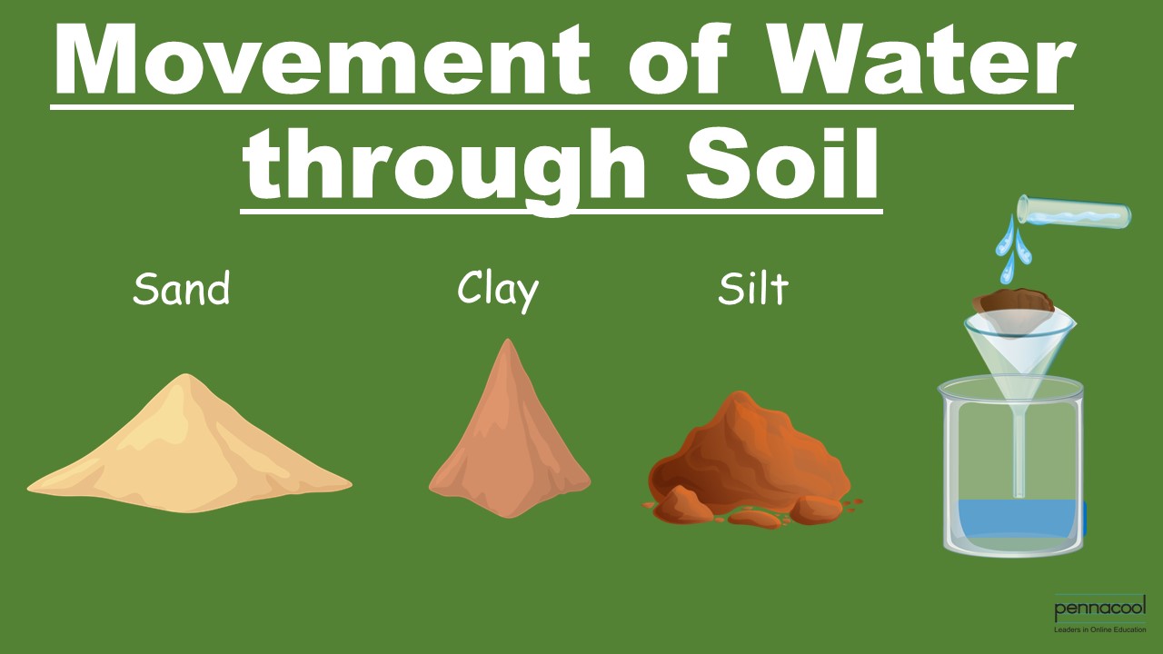 Movement of Water through Soil