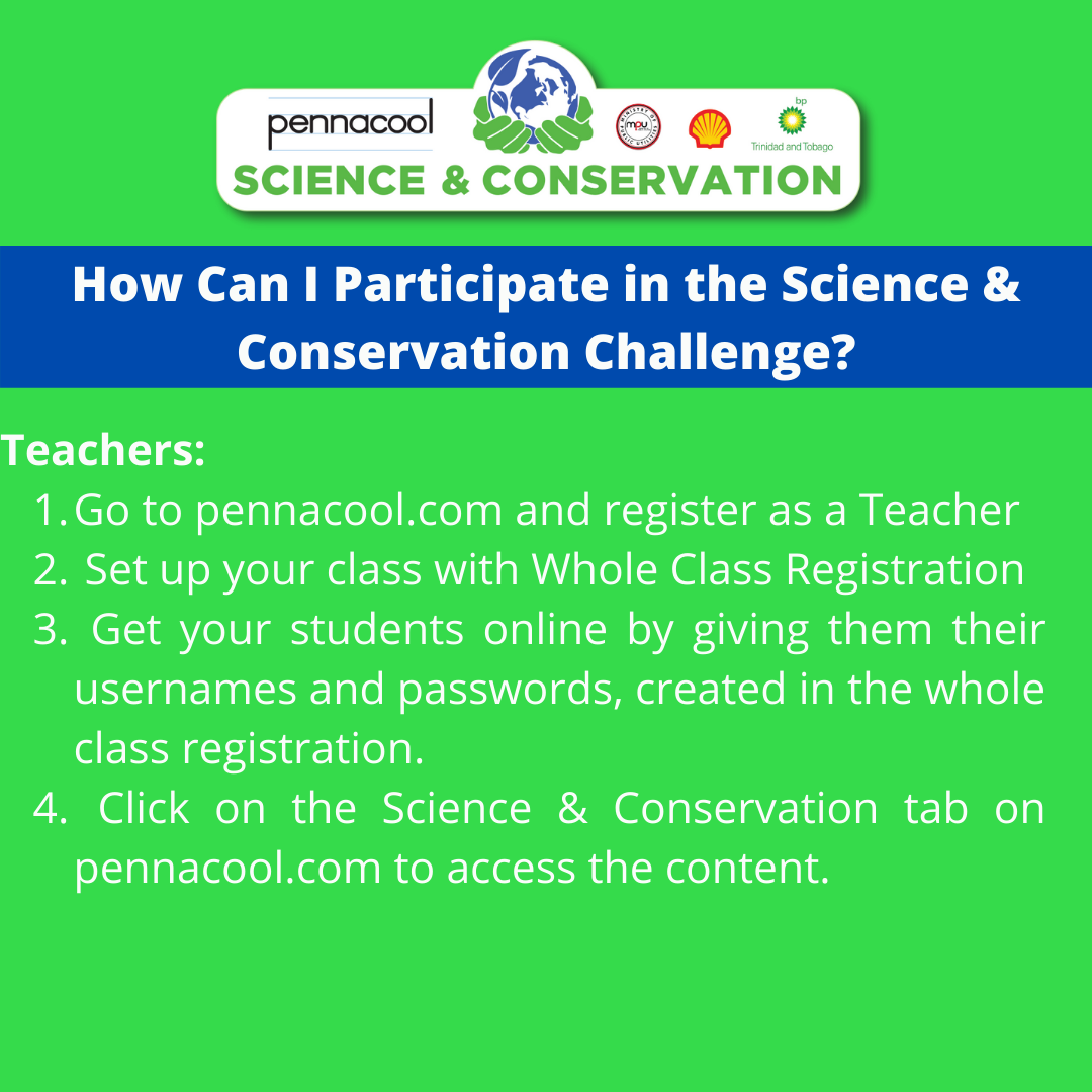 How to Use for Teachers